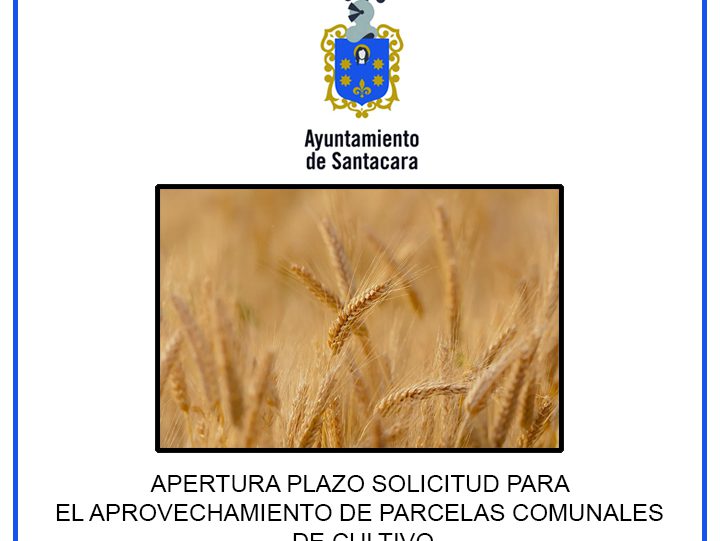 Foto noticia